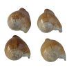 TL-088 Set of Four Shell Place Setting Holders. One of Many Beautiful Handcrafted, Exclusive and Luxurious Accessories from Adesso Wholesale.